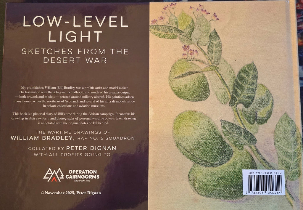 Low-Level Light: Sketches from the Desert War