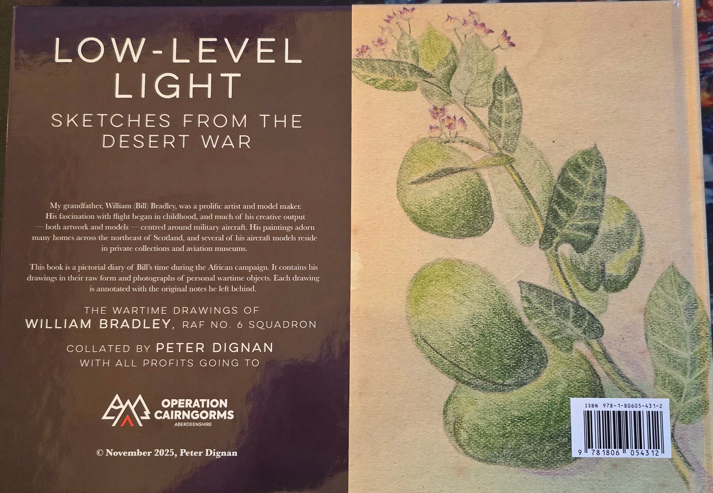 Low-Level Light: Sketches from the Desert War