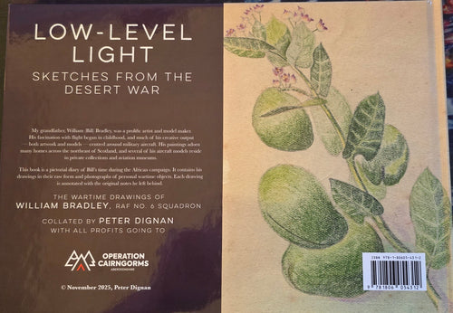 Low-Level Light: Sketches from the Desert War