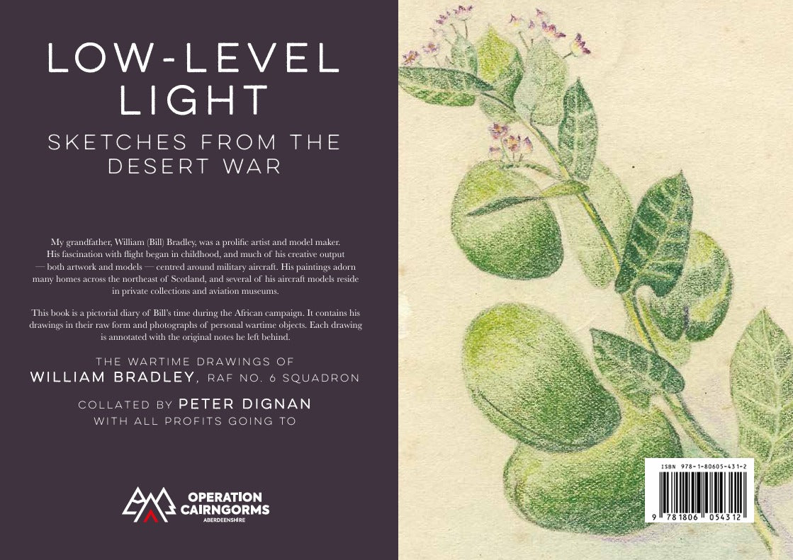Low-Level Light: Sketches from the Desert War