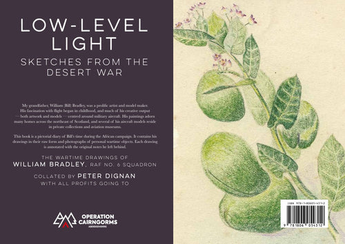 Low-Level Light: Sketches from the Desert War